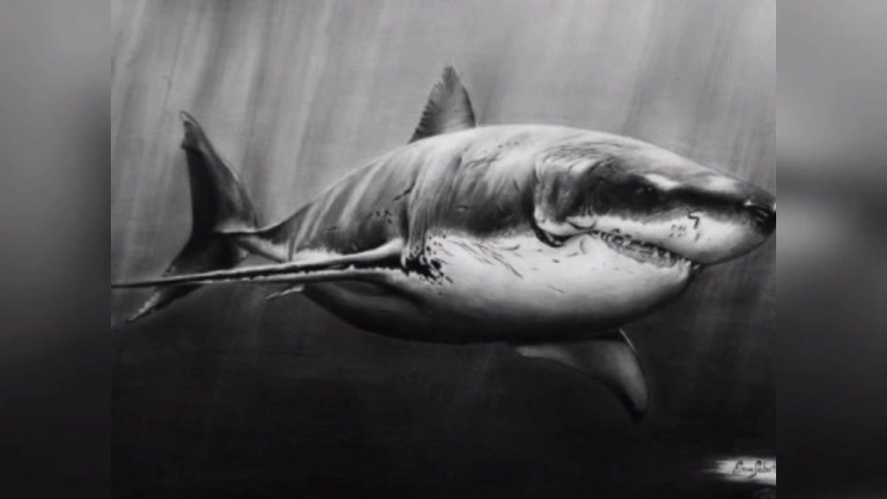 Наклейка на авто зубы акулы