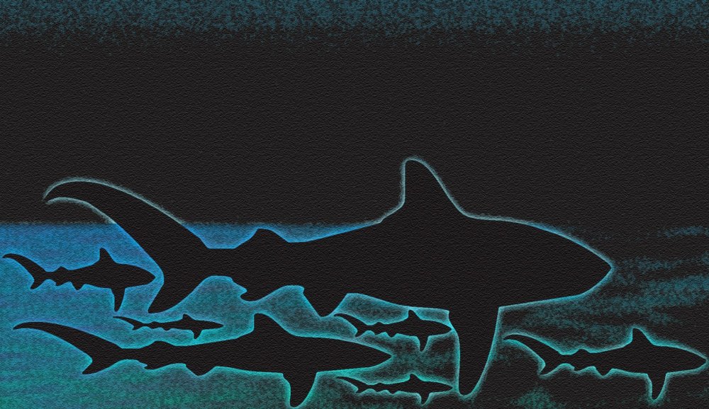 Акула на голубом фоне