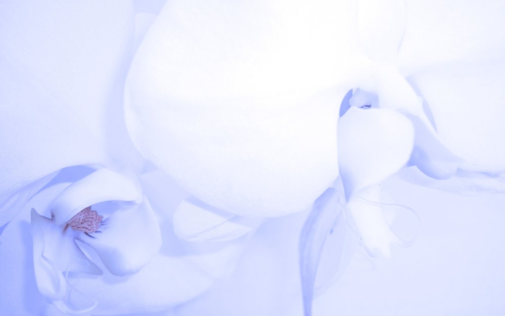 Красивый фон в нежных оттенках голубой