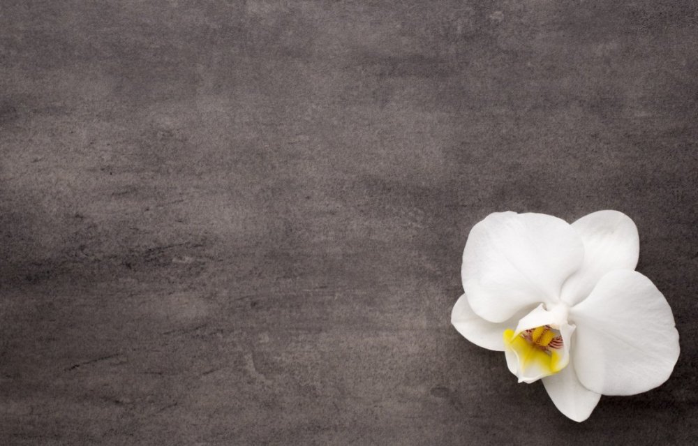 Цветы на сером фоне