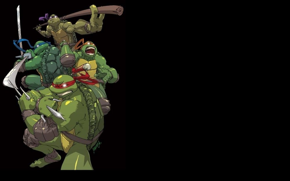 Teenage Mutant Hero Turtles