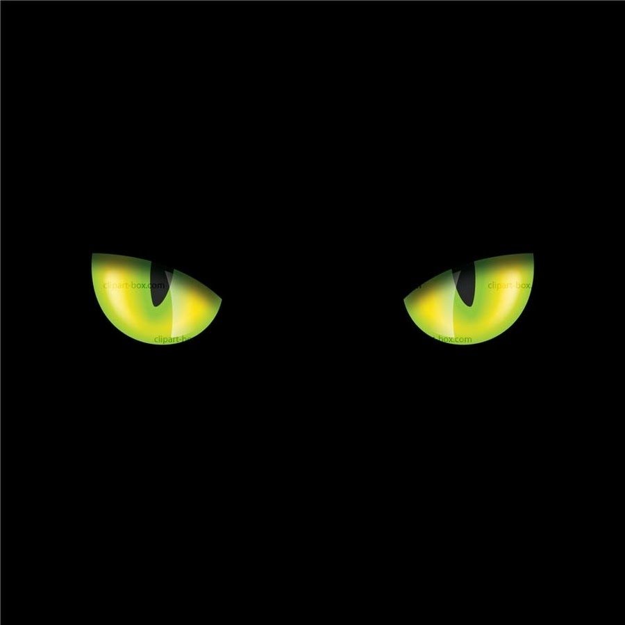 Кошка с темными глазами