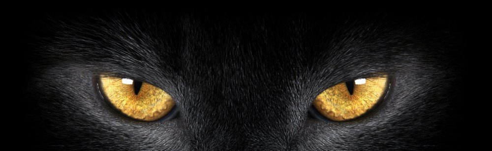 Черная картинка