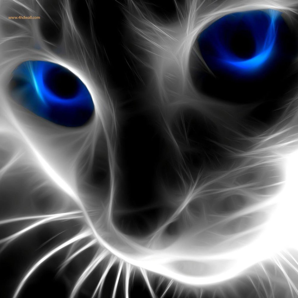 Кот из дыма арт