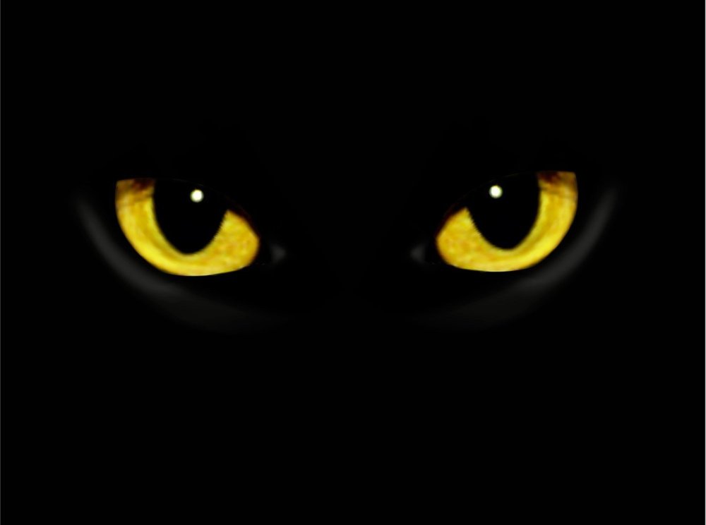 Желтые глаза в темноте