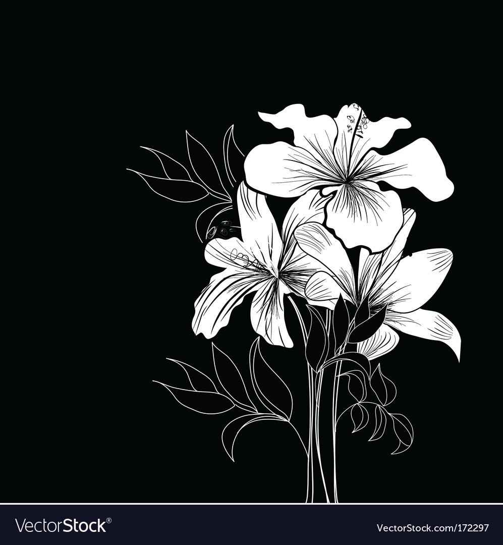 Минимализм на черном фоне