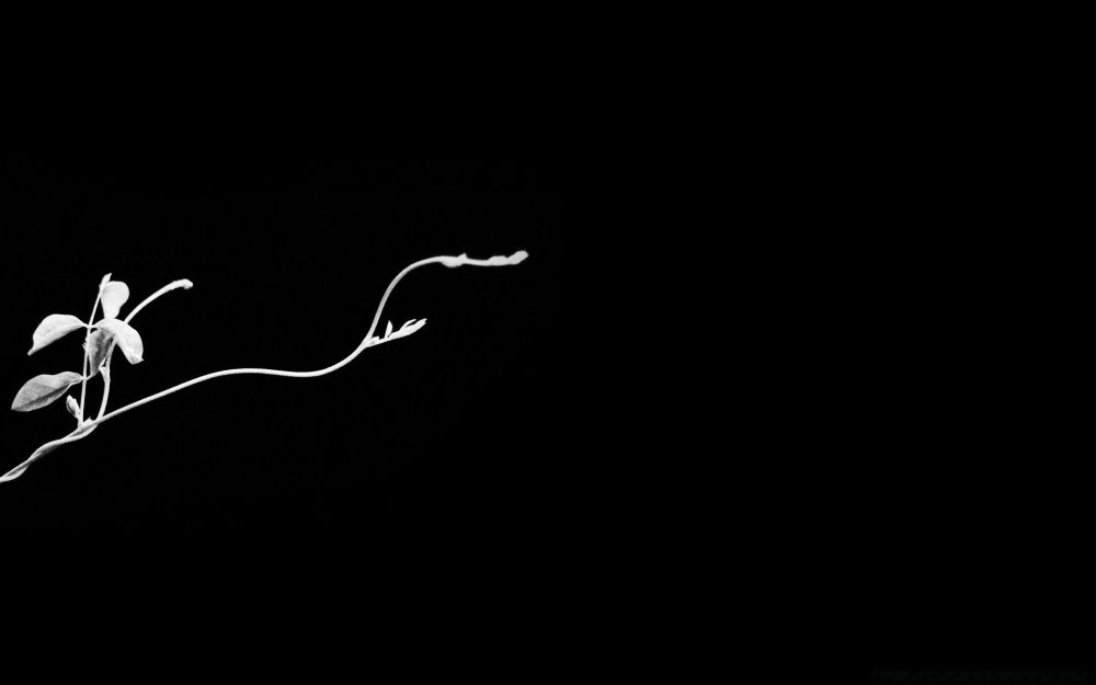 Цветочный узор на ткани