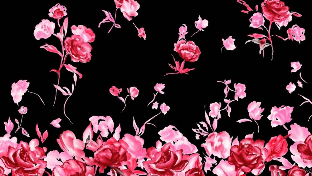 Роза на черном фоне