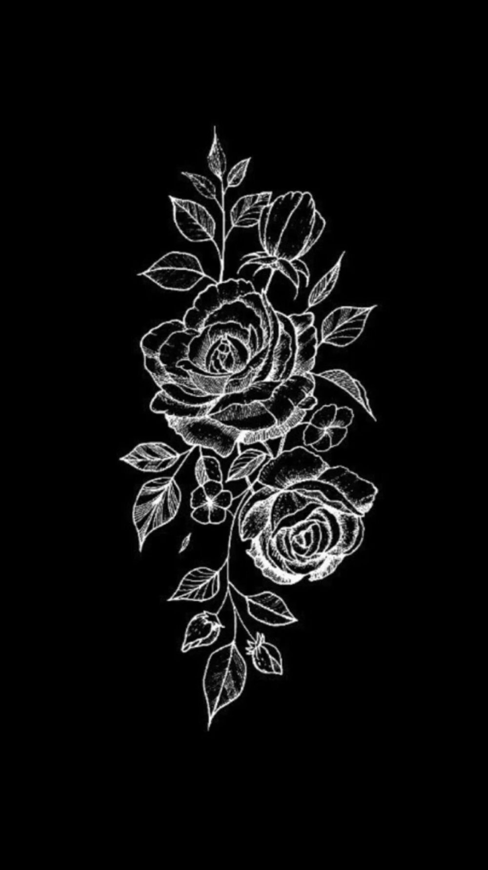 Белая роза на черном фоне