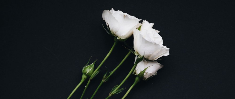 Черно белые обои