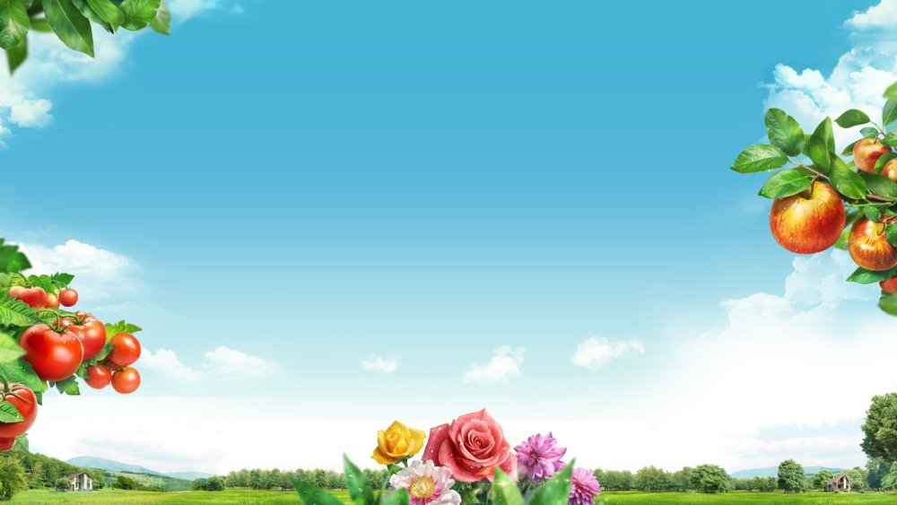 Летний фон для афиши