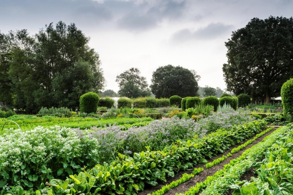 Пермакультура Англия