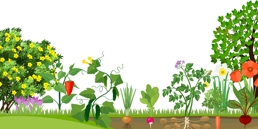 Сад огород вектор