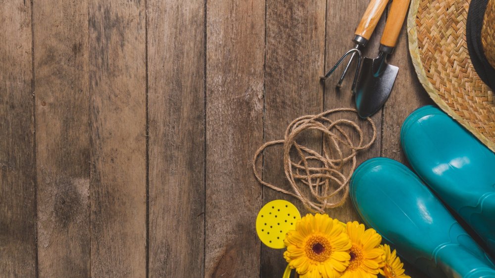 Садовый инвентарь фон