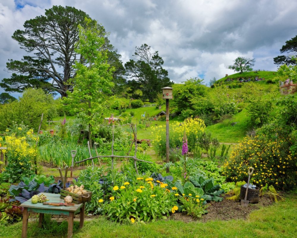 Красивый огород