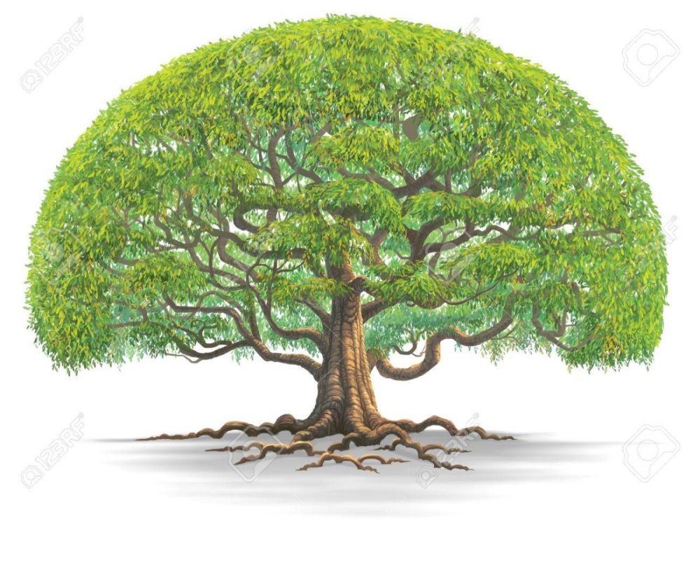 Большое сказочное дерево