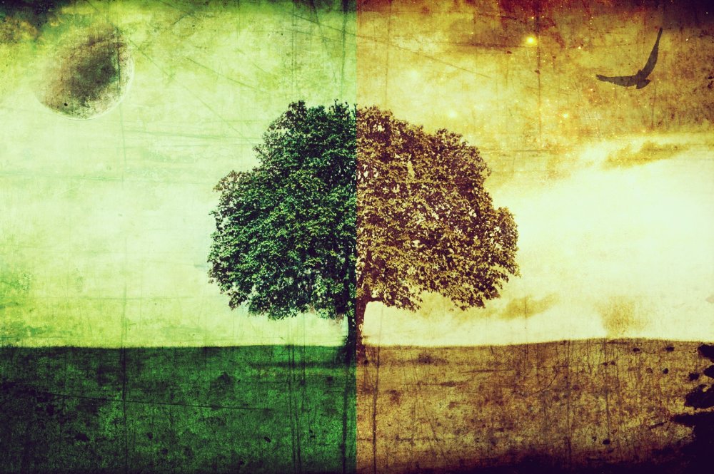 Иггдрасиль Неметон