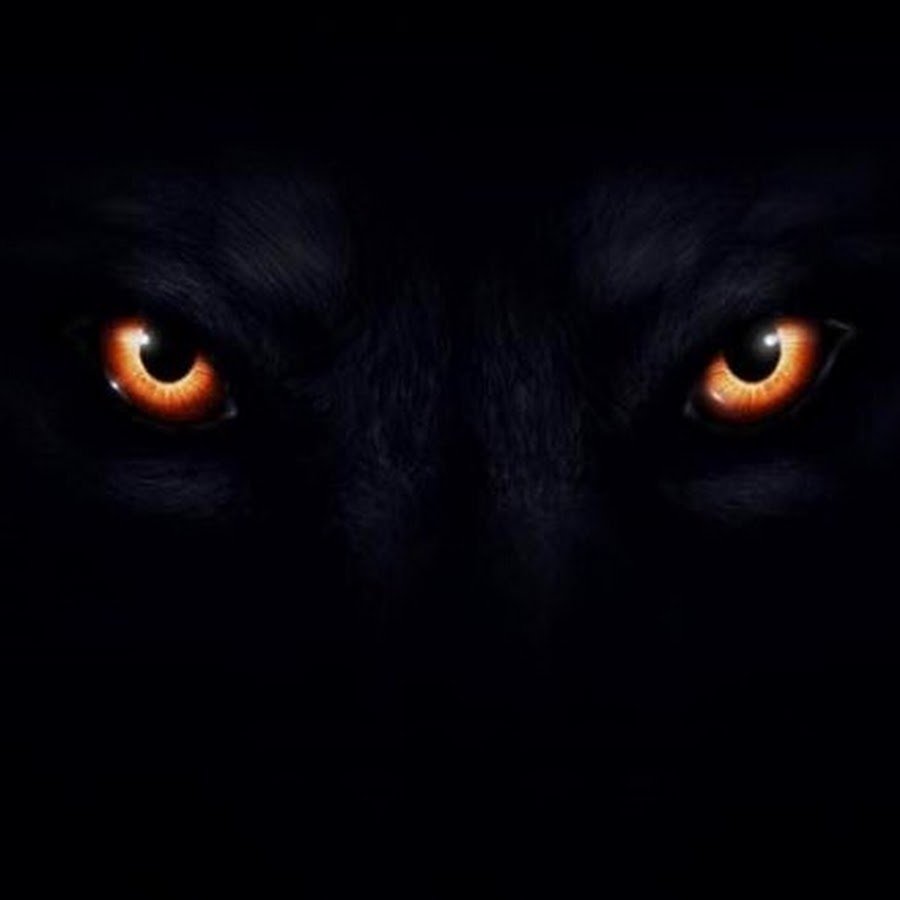 Глаза в темноте