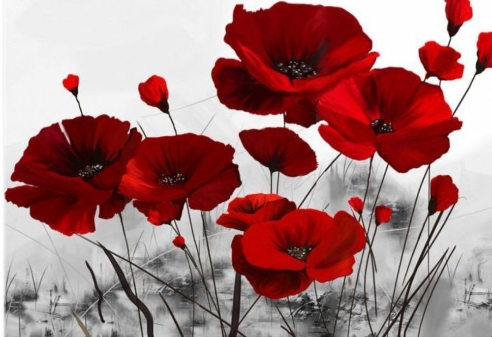 Красный Мак картина