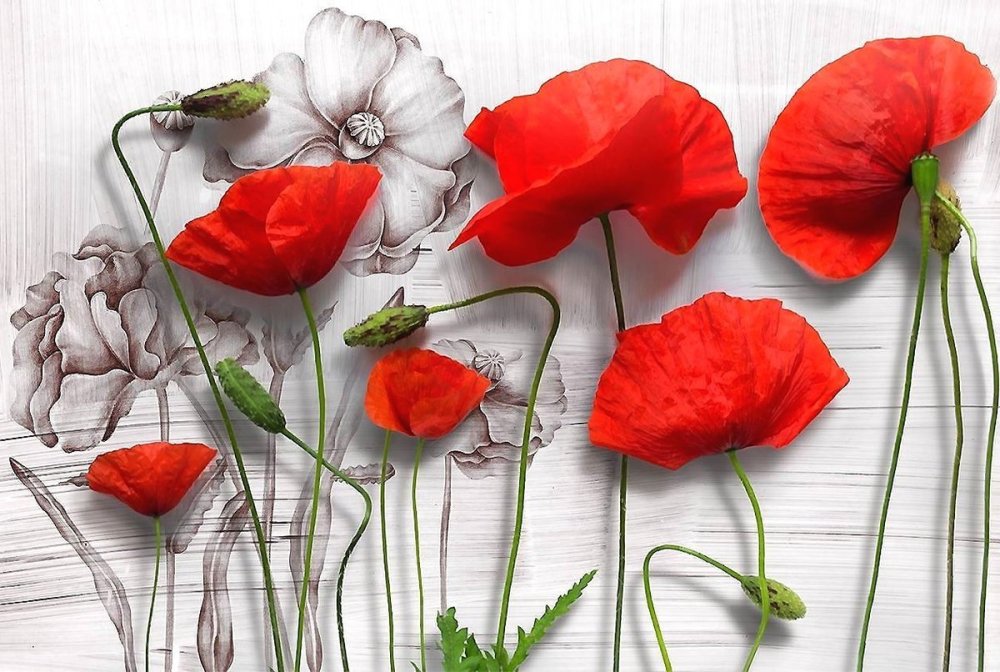 Маки из ткани