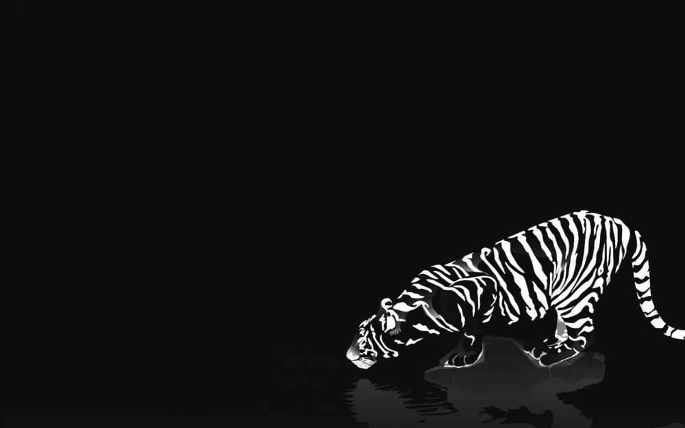 Черно белые заставки