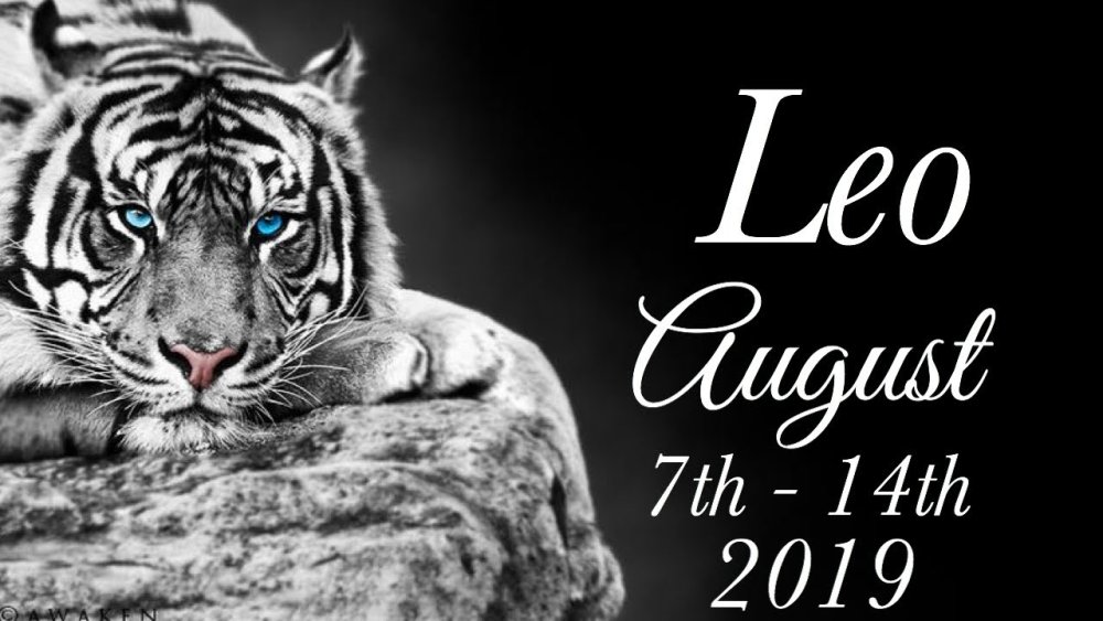 Белый тигр на черном фоне