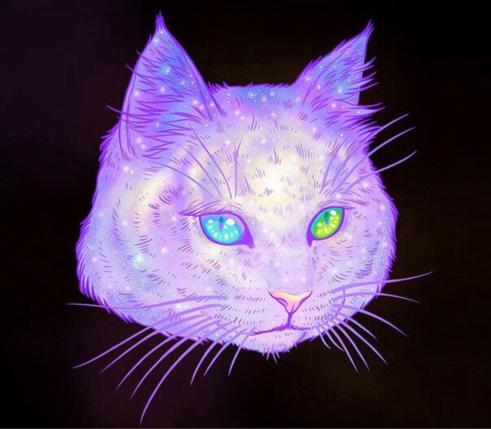 Фиолетовая кошка