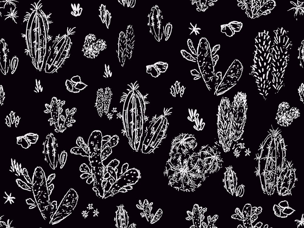 Черно белые паттерны кактусы