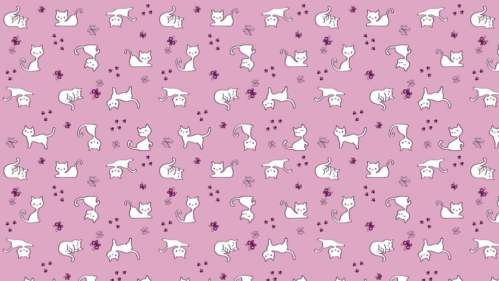 Котик на розовом фоне