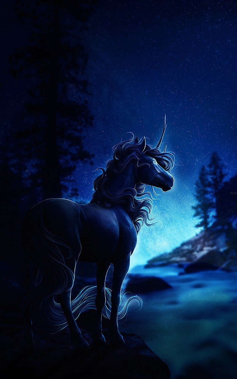 Лошадь черный