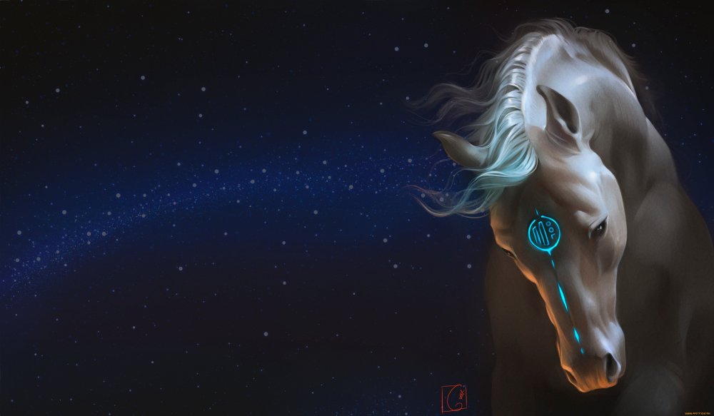 Картинки на рабочий стол лошади