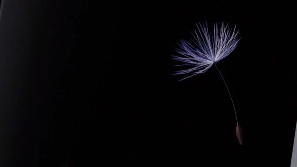 Фон Samsung Galaxy s9