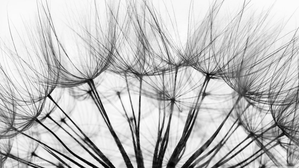 Черно белые Абстракции высокого разрешения