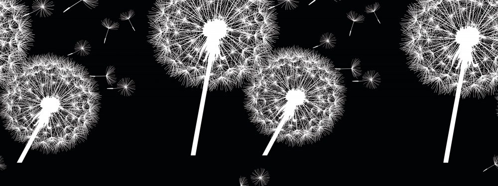 Фон белый с летящими одуванчиками