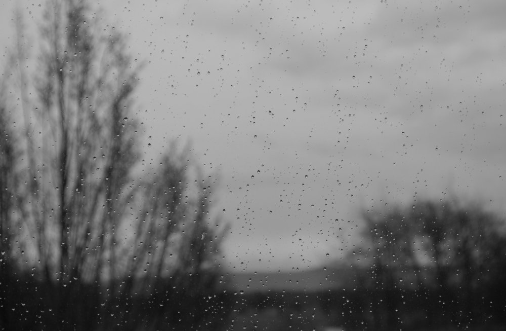 Ливень серый