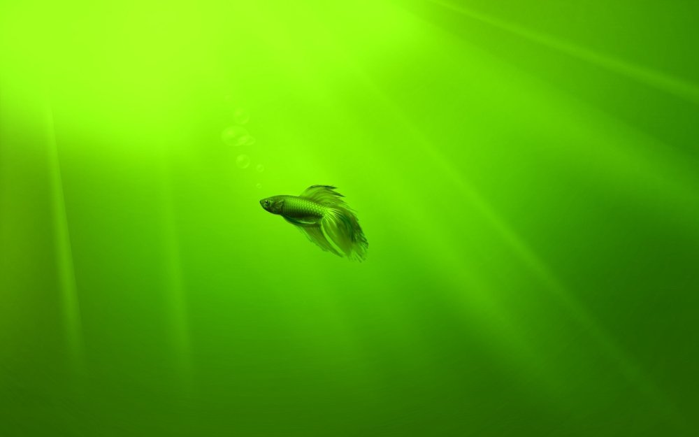 Виндовс 7 зелёный