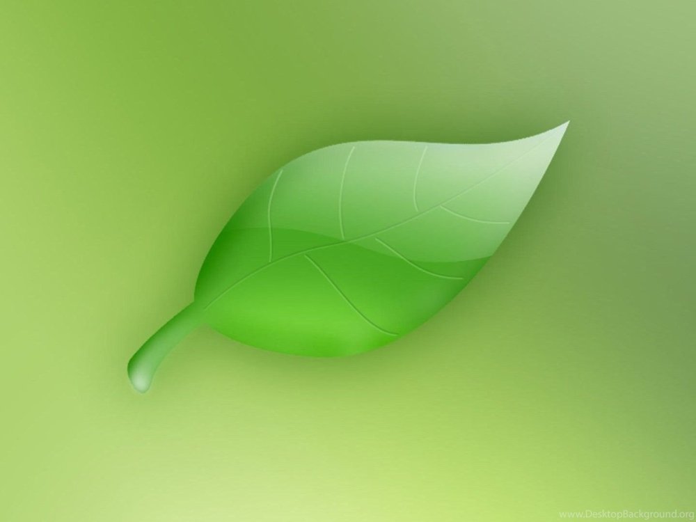 Ноутбук на зеленом фоне