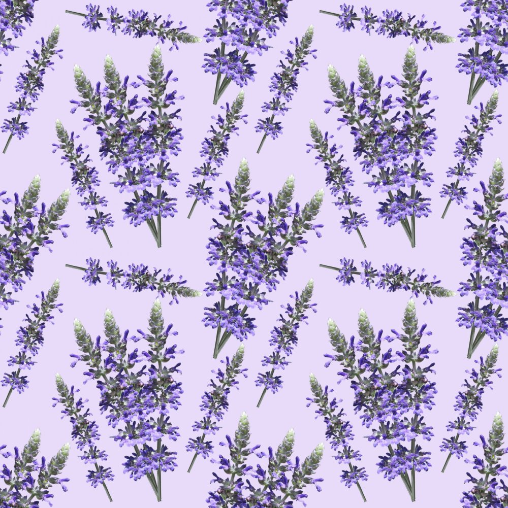 Узоры лаванды