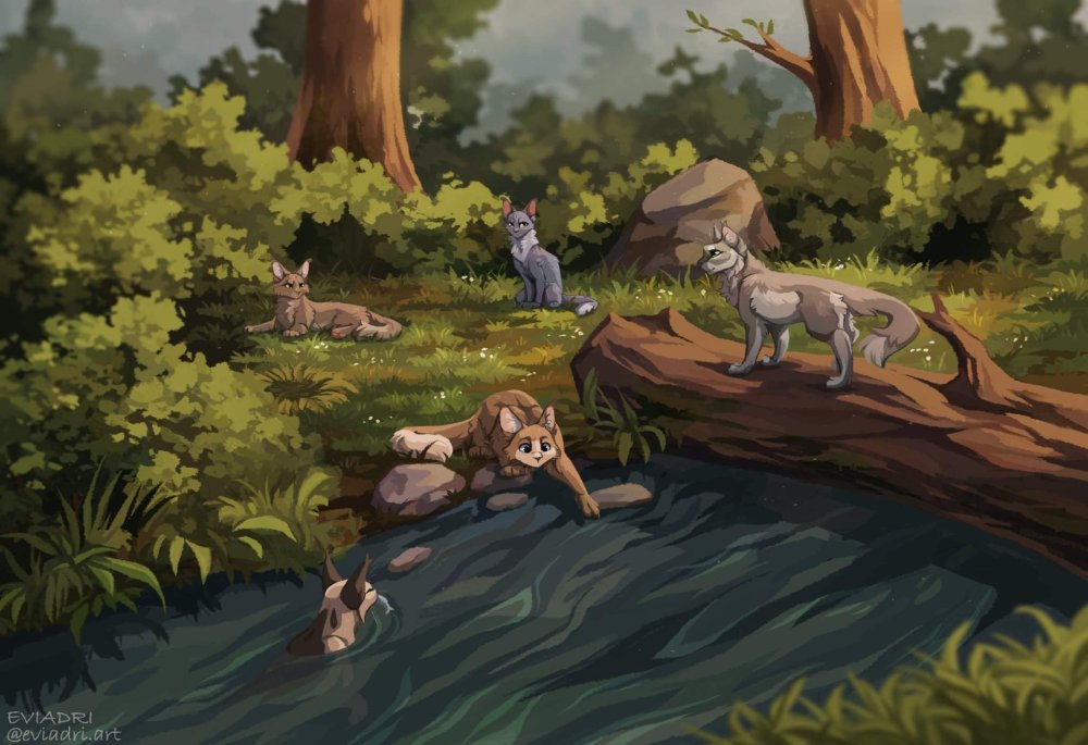 Коты Воители лагерь речного племени