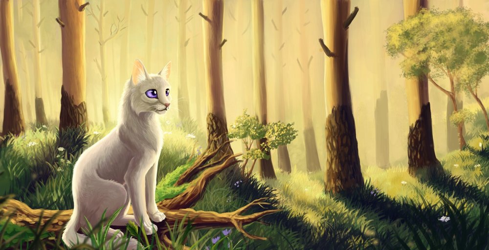 Коты Воители фон