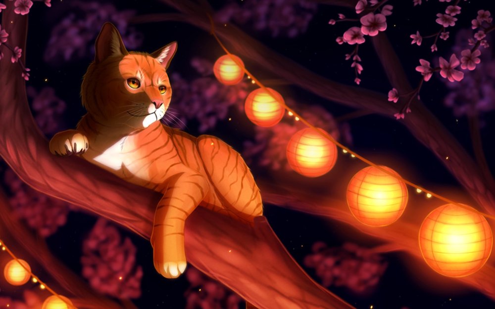 Коты Воители ночка