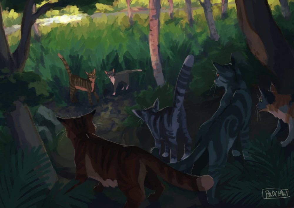 Летунья коты Воители арт