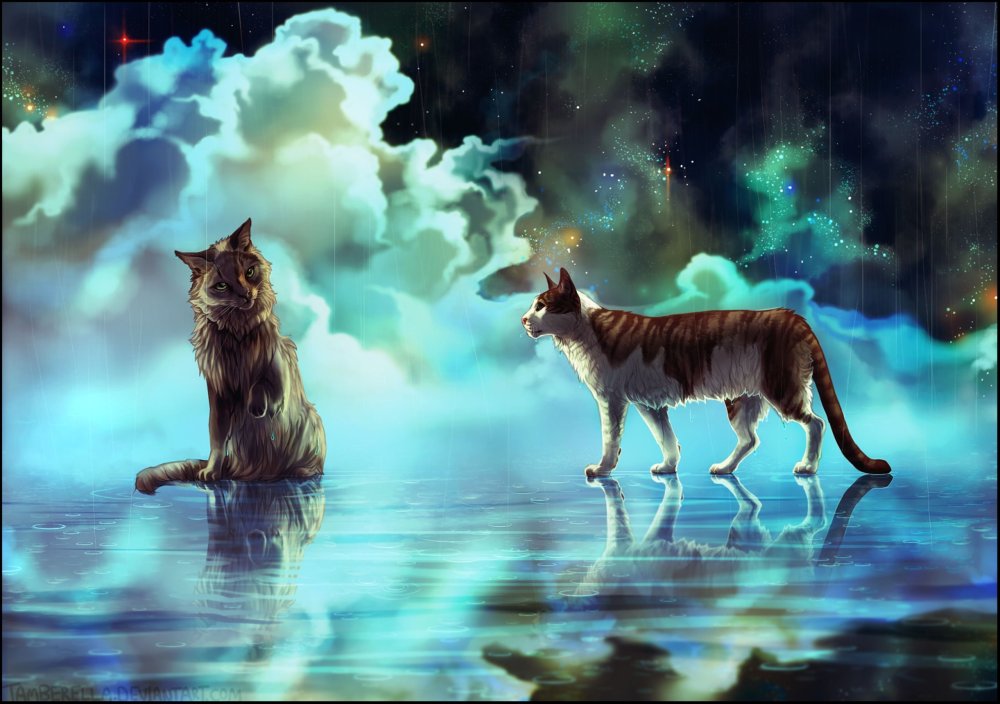 Коты Воители Вересковая звезда