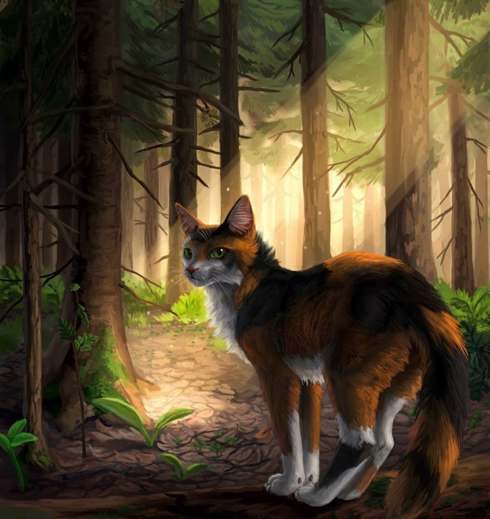 Коты Воители трехцветные