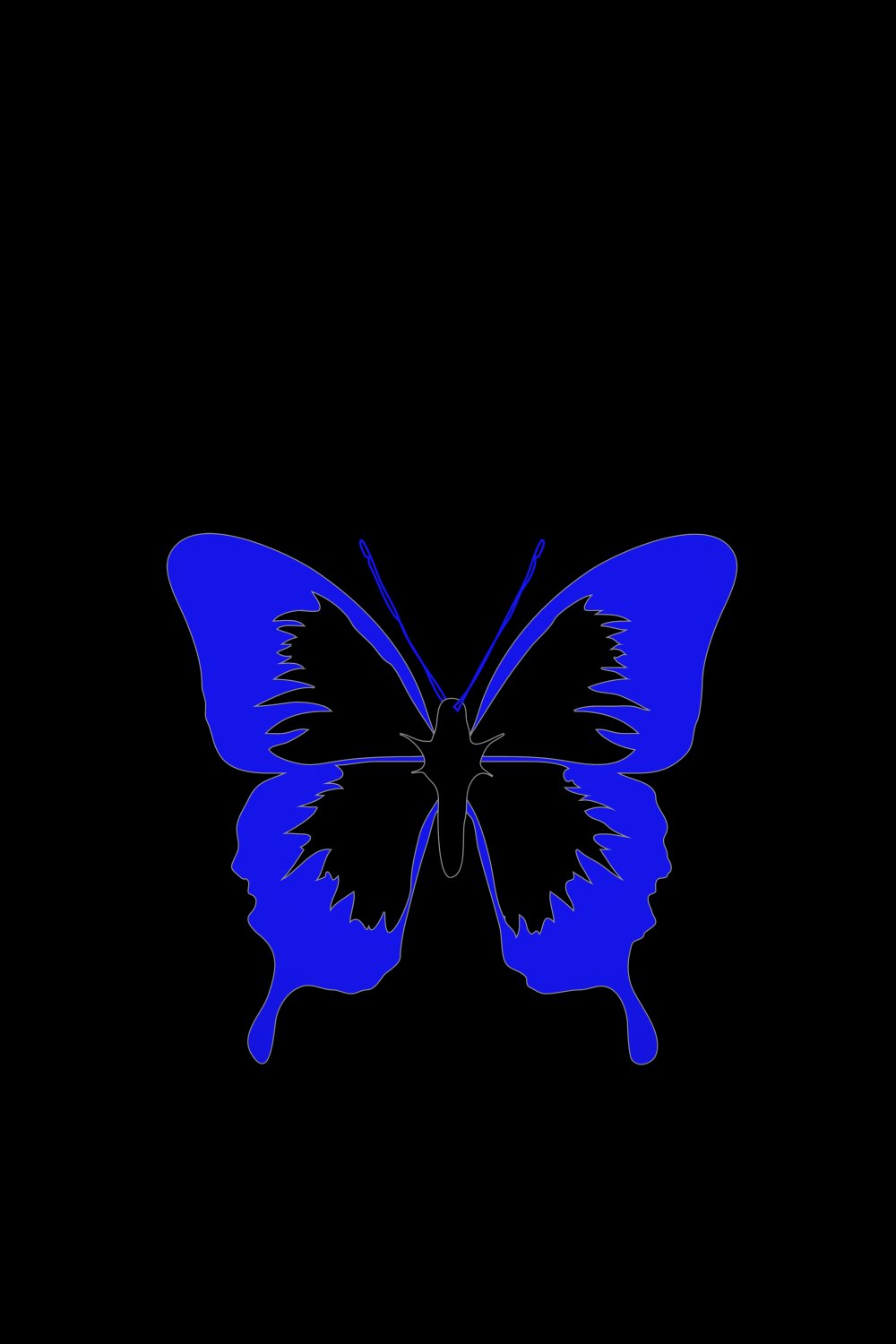 Бабочки на черном фоне