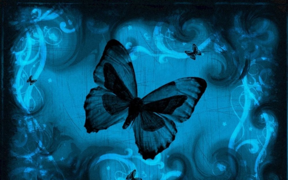 Бабочка на темном фоне