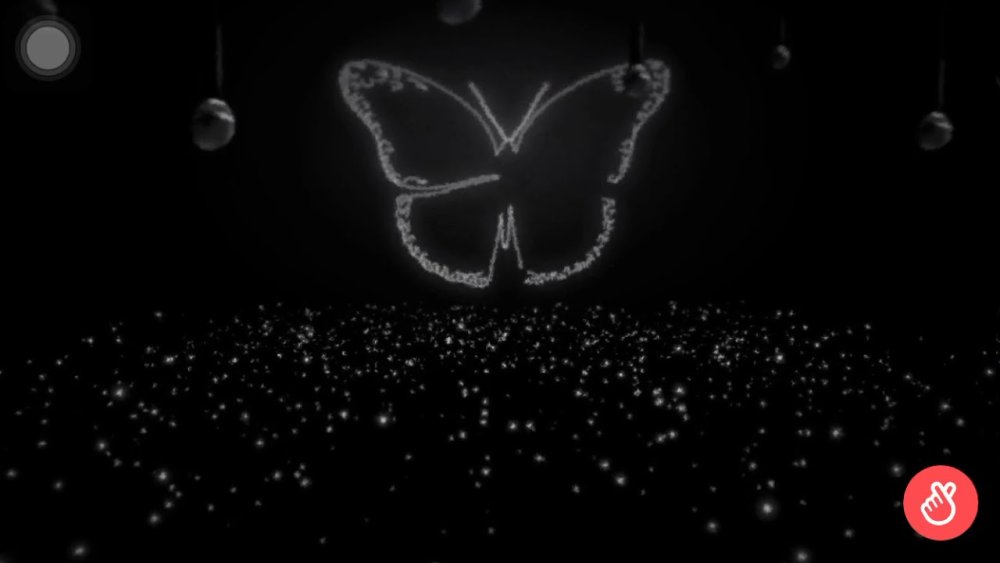Бабочки на черном фоне