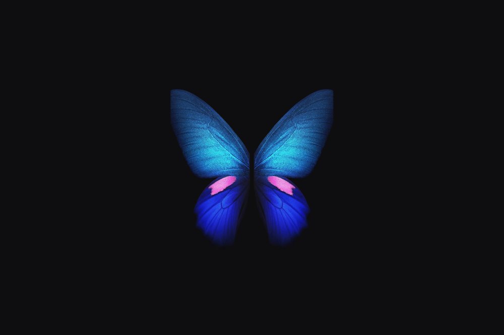 Бабочки на черном фоне