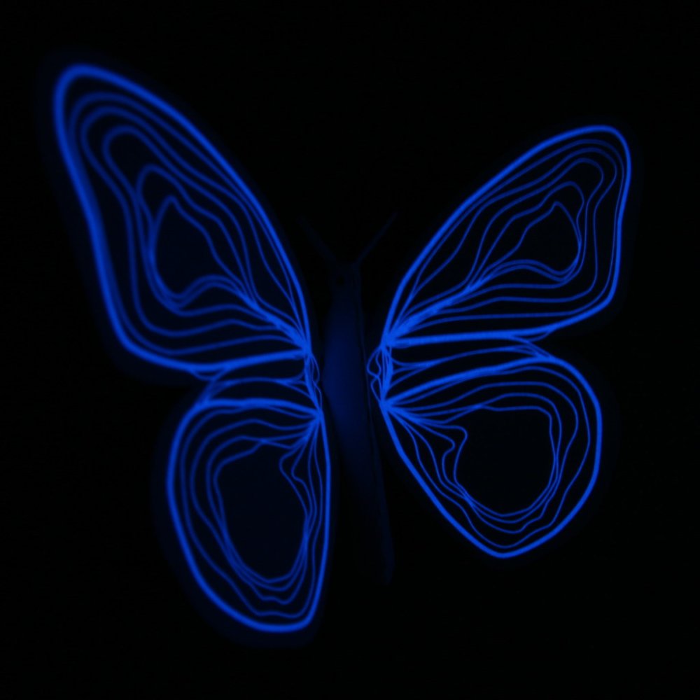 Неоновые бабочки на черном фоне