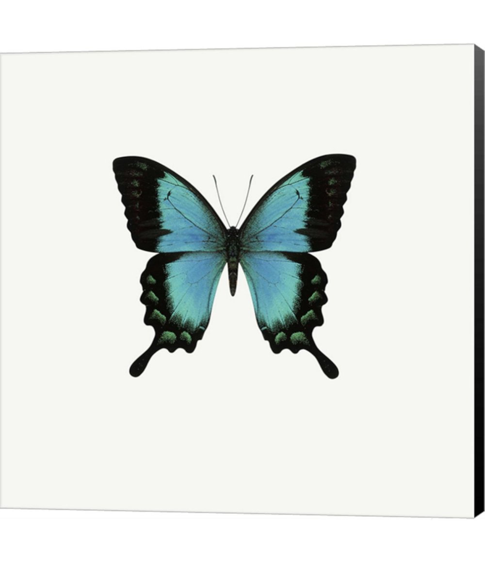 Эмодзи бабочка синяя